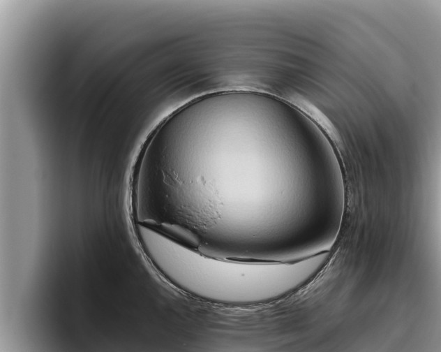 X0000095891144200801181220
