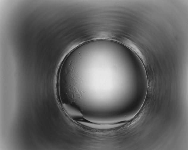 X0000095891146200801181220