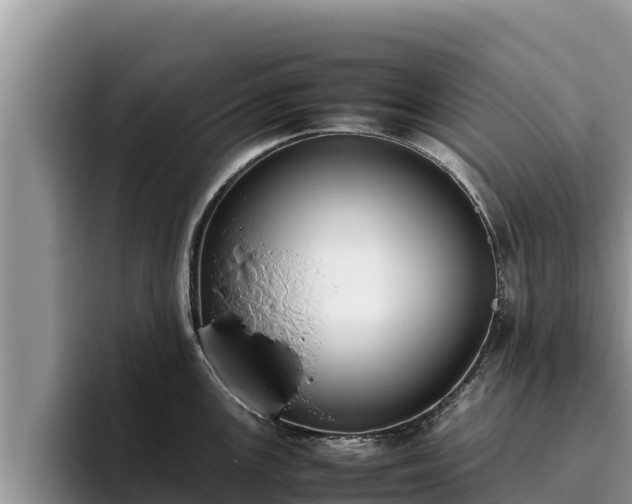 X0000095891147200801181220