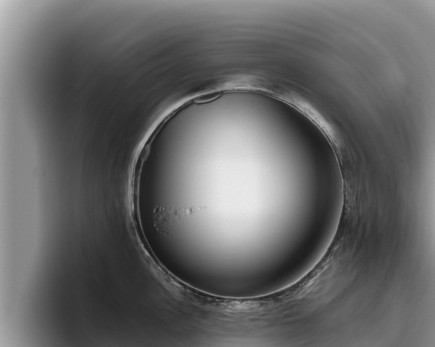 X0000095891148200801181220