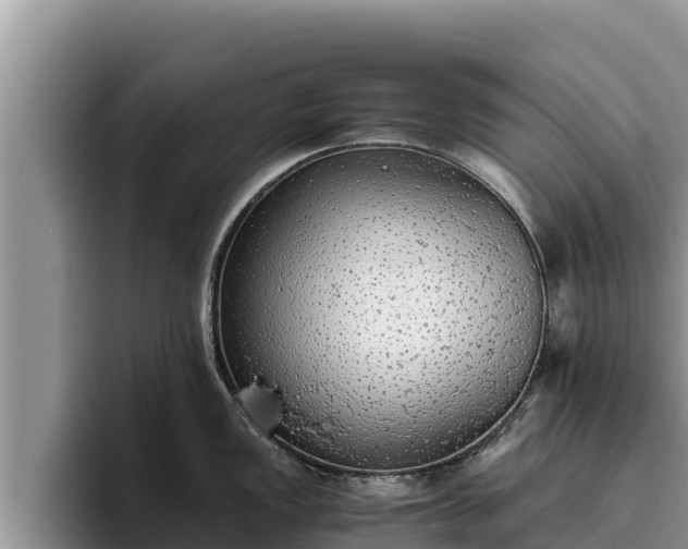 X0000095891149200801181220
