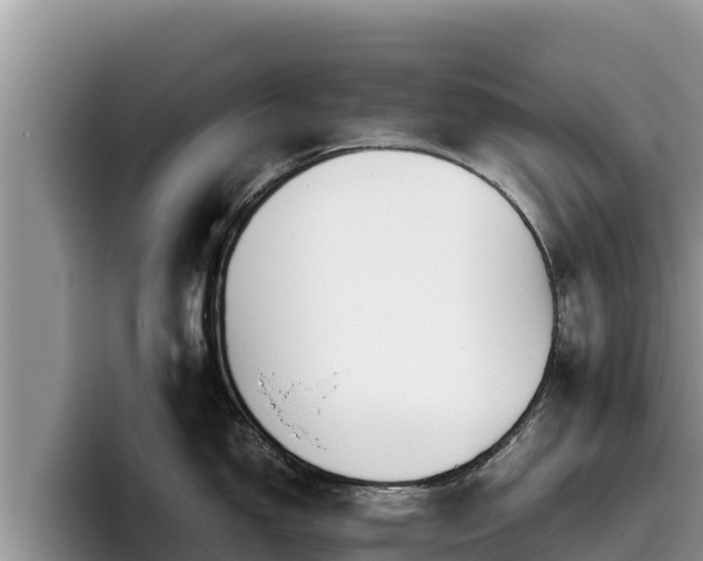 X0000095891150200801181220