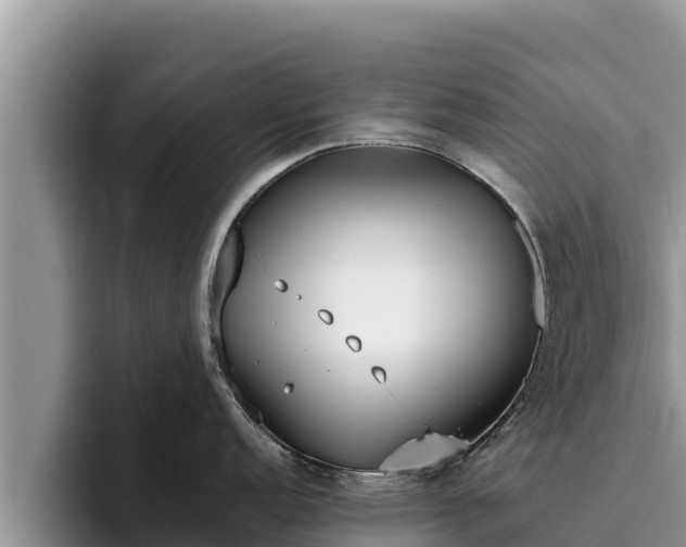 X0000095891152200801181220