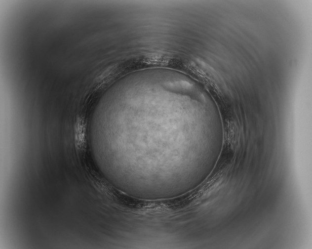 X0000095891154200801181220