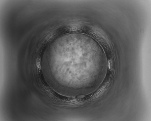 X0000095891155200801181220