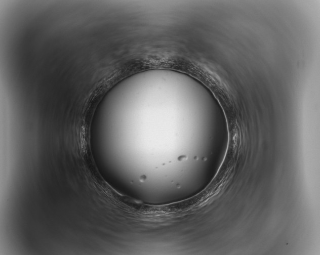 X0000095891156200801181220