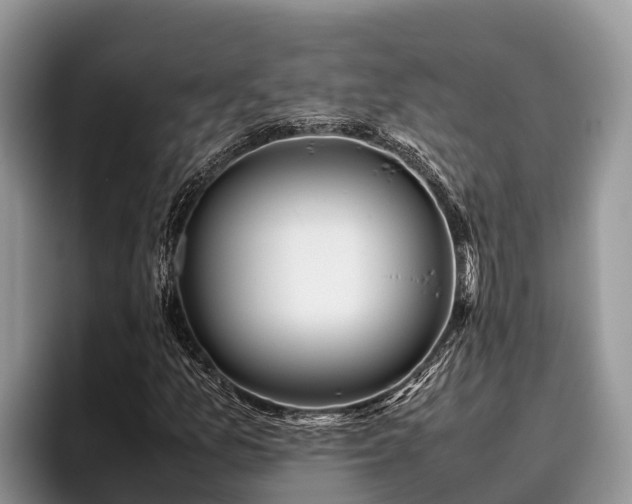 X0000095891157200801181220