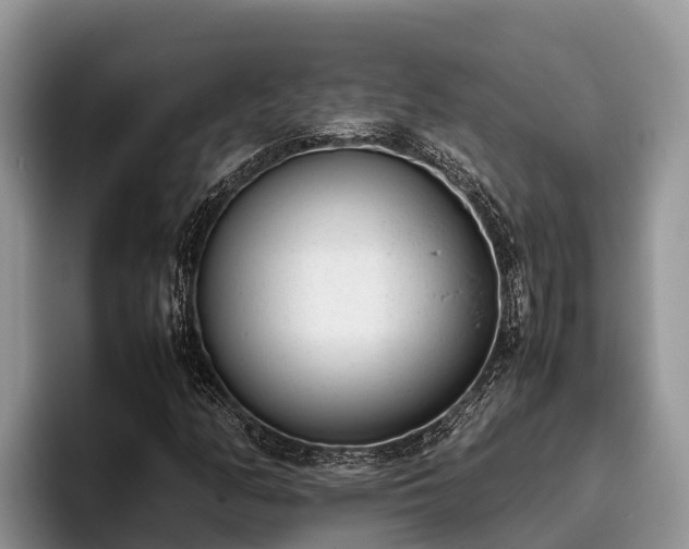 X0000095891158200801181220