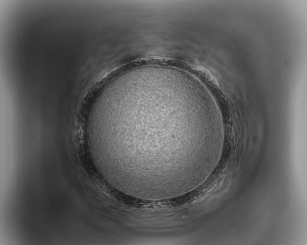 X0000095891159200801181220