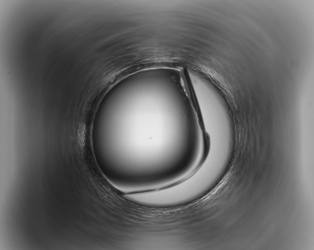 X0000095891161200801181220