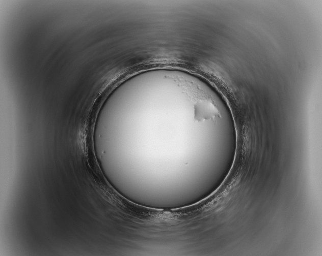 X0000095891162200801181220