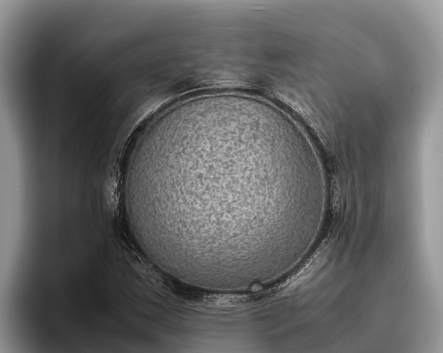 X0000095891163200801181220