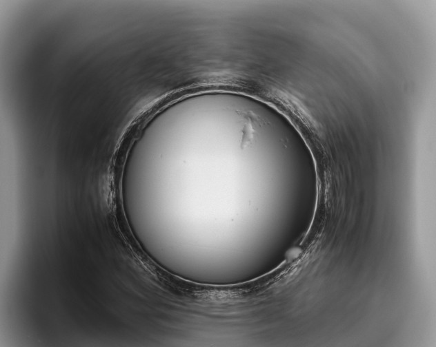 X0000095891164200801181220