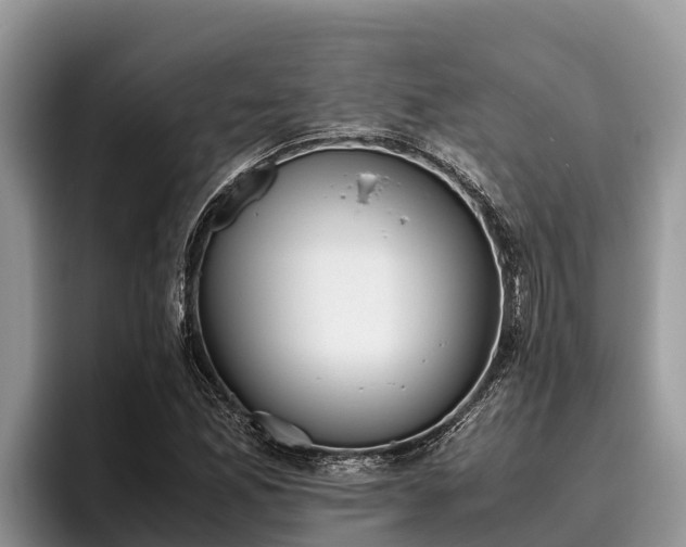 X0000095891165200801181220