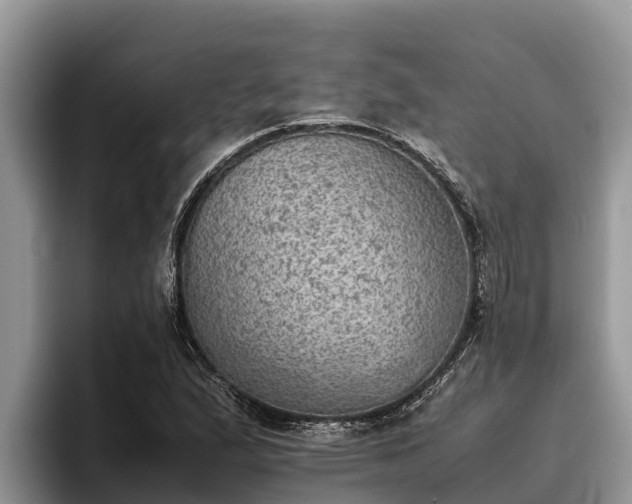 X0000095891167200801181220