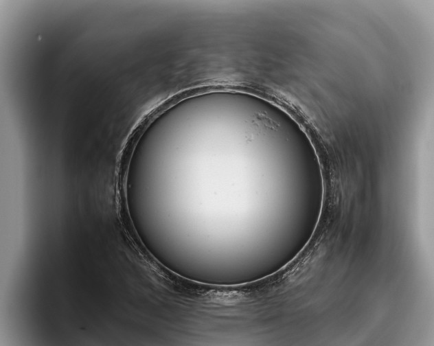 X0000095891168200801181220