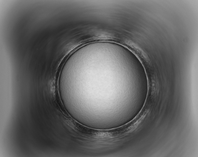 X0000095891170200801181220