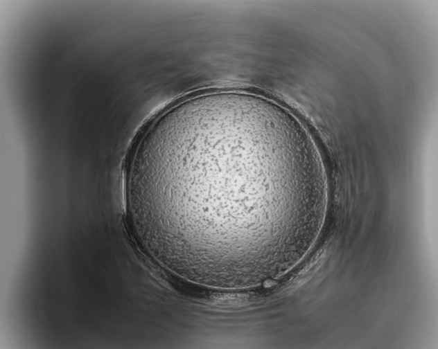 X0000095891171200801181220