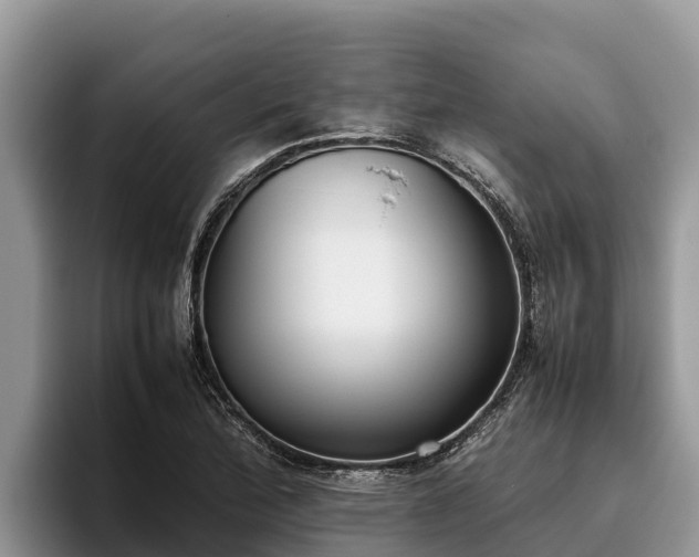 X0000095891172200801181220