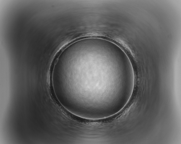 X0000095891173200801181220