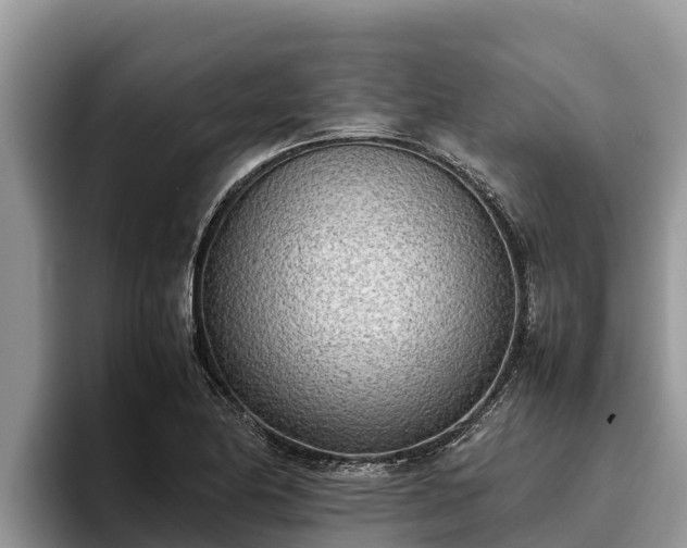 X0000095891174200801181220