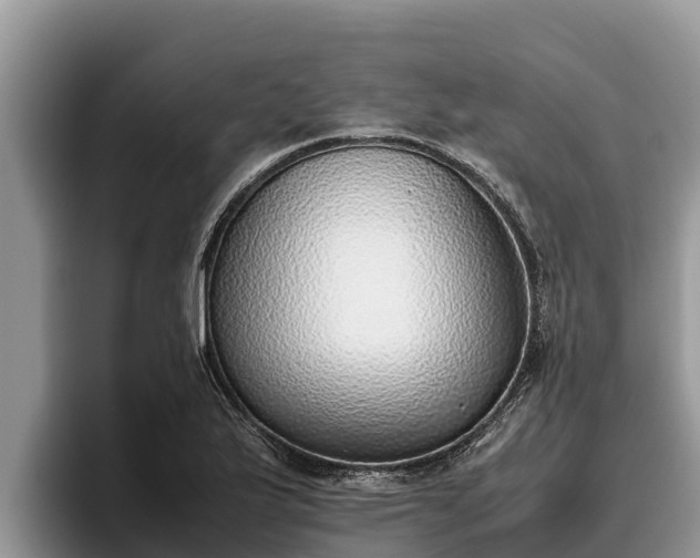 X0000095891175200801181220