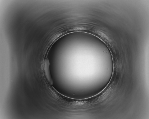 X0000095891177200801181219