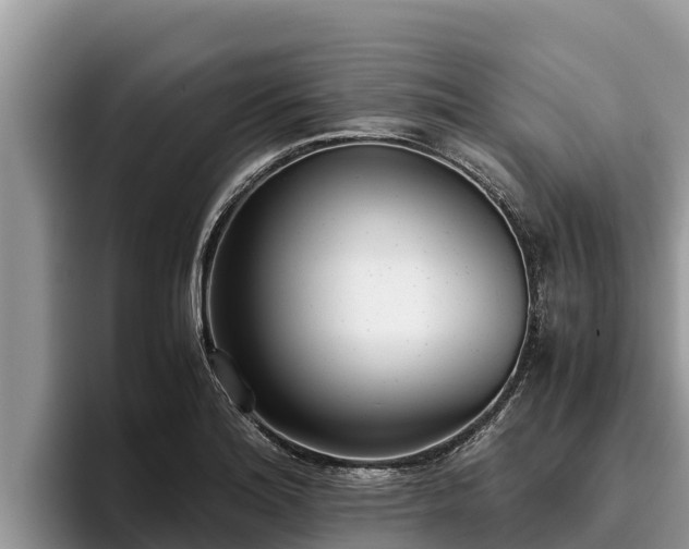 X0000095891180200801181219