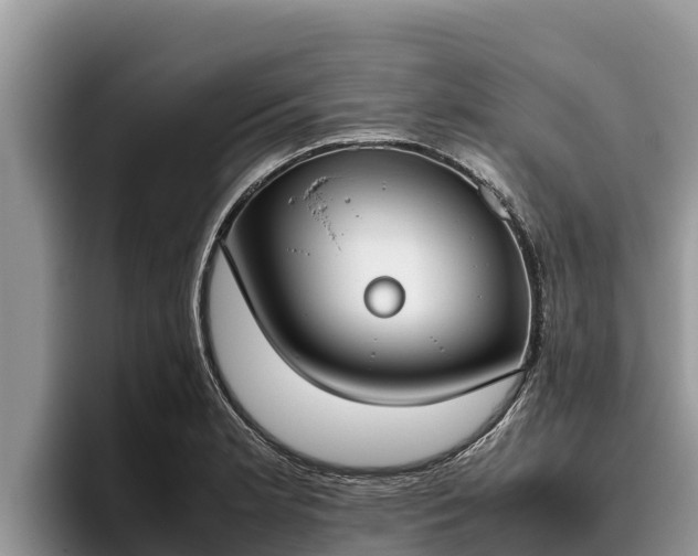 X0000095891181200801181219
