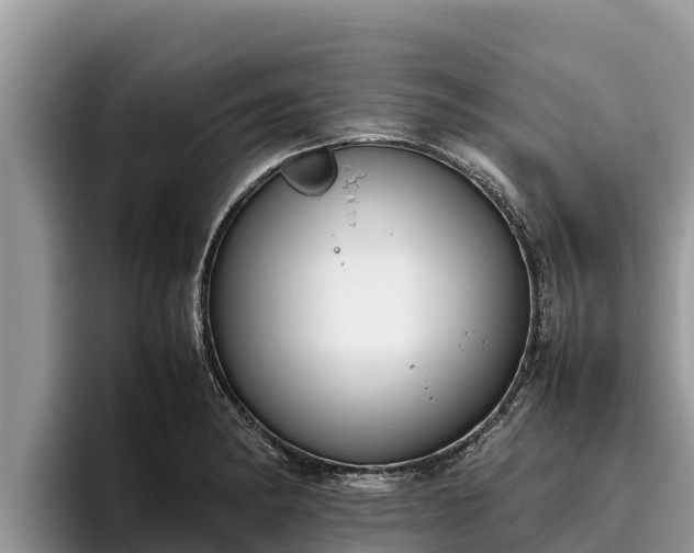 X0000095891182200801181219