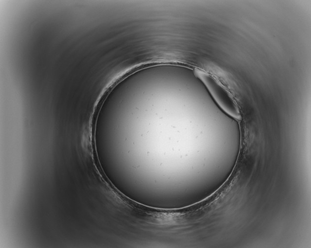 X0000095891184200801181219
