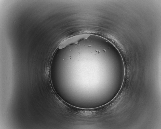 X0000095891185200801181219