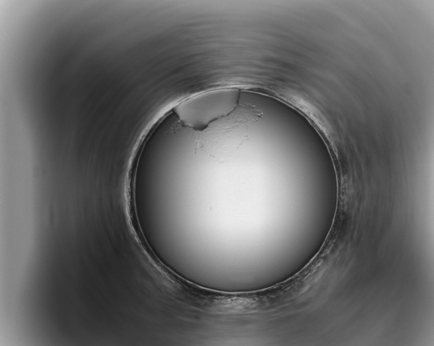 X0000095891187200801181219