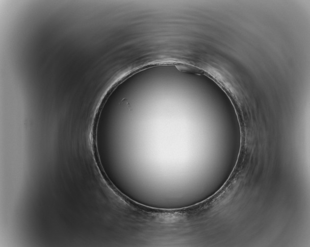 X0000095891189200801181219