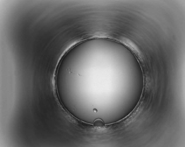 X0000095891190200801181219