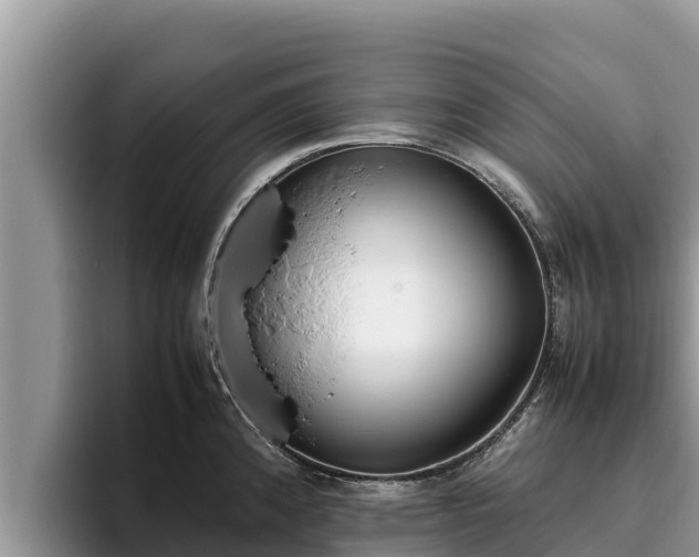 X0000095891192200801181219