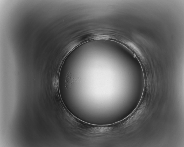 X0000095891193200801181219