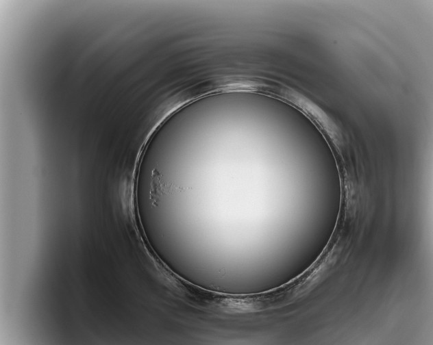 X0000095891194200801181219