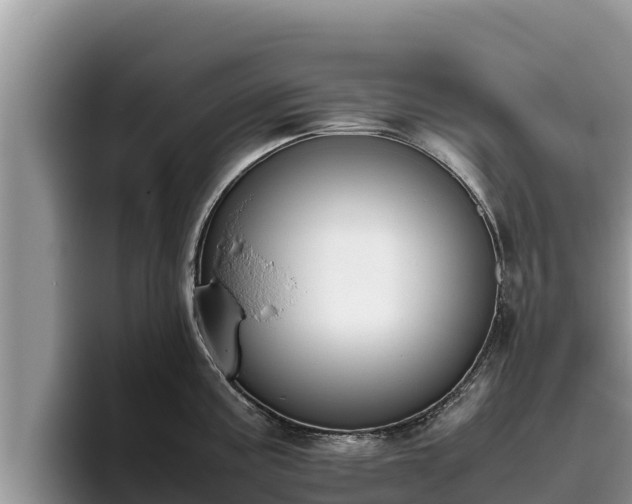 X0000095891195200801181219
