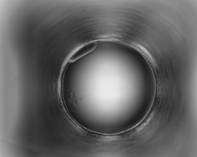 X0000095891196200801181219