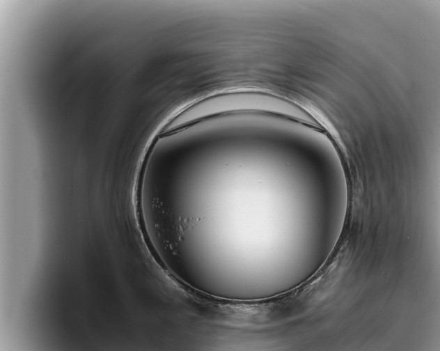 X0000095891197200801181219