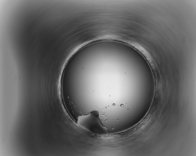 X0000095891199200801181219