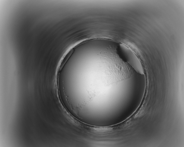 X0000095891200200801181219