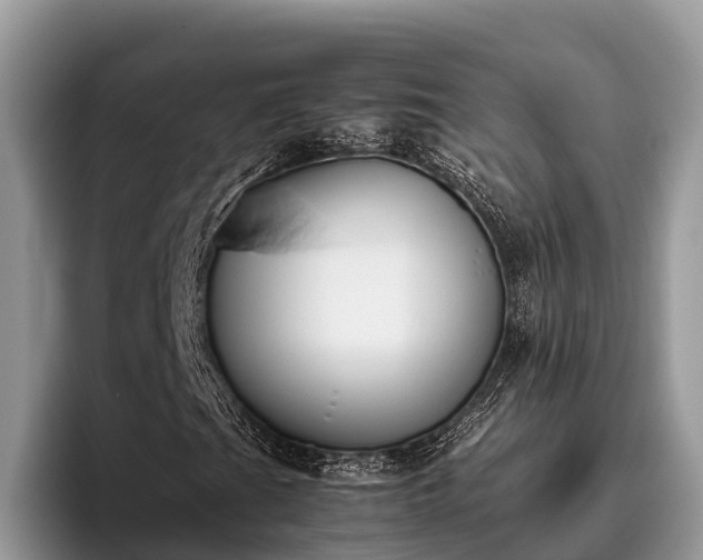 X0000095891201200801181219