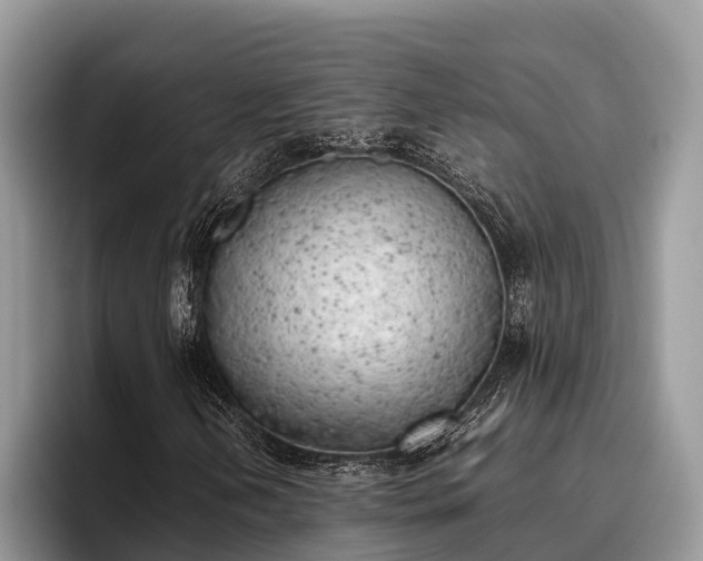 X0000095891202200801181219