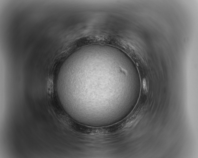 X0000095891203200801181219