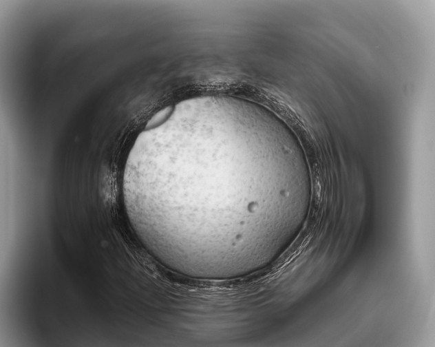 X0000095891204200801181219
