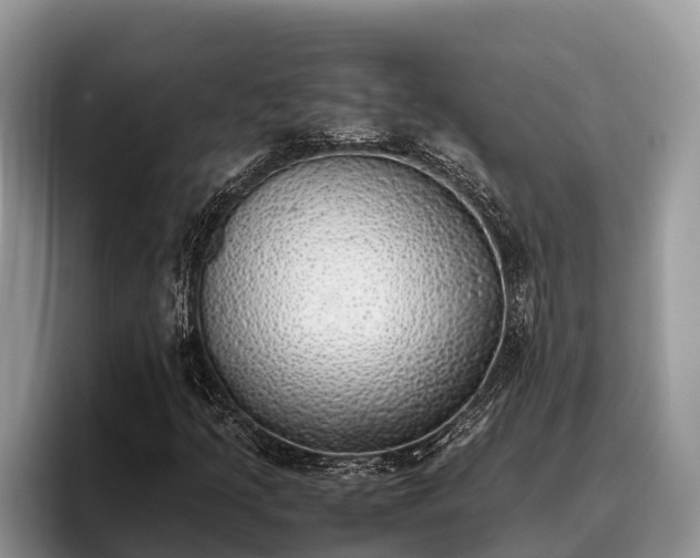 X0000095891205200801181219