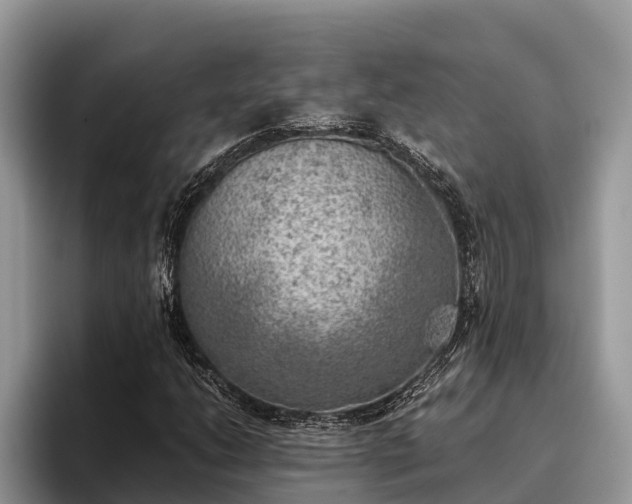 X0000095891206200801181219