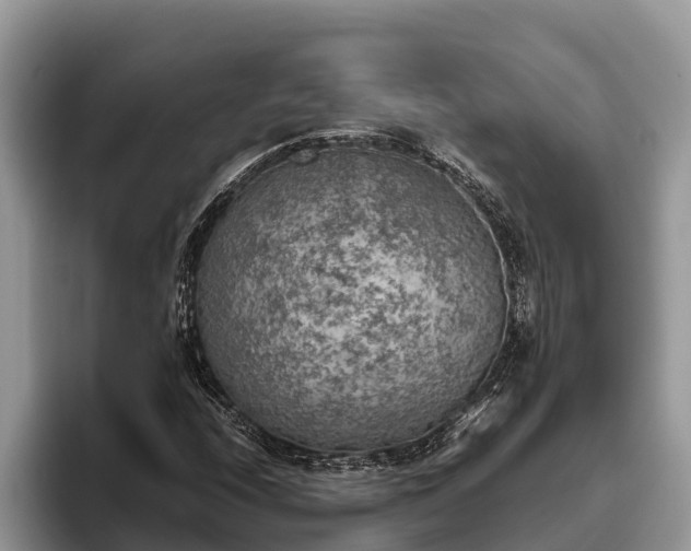 X0000095891208200801181219